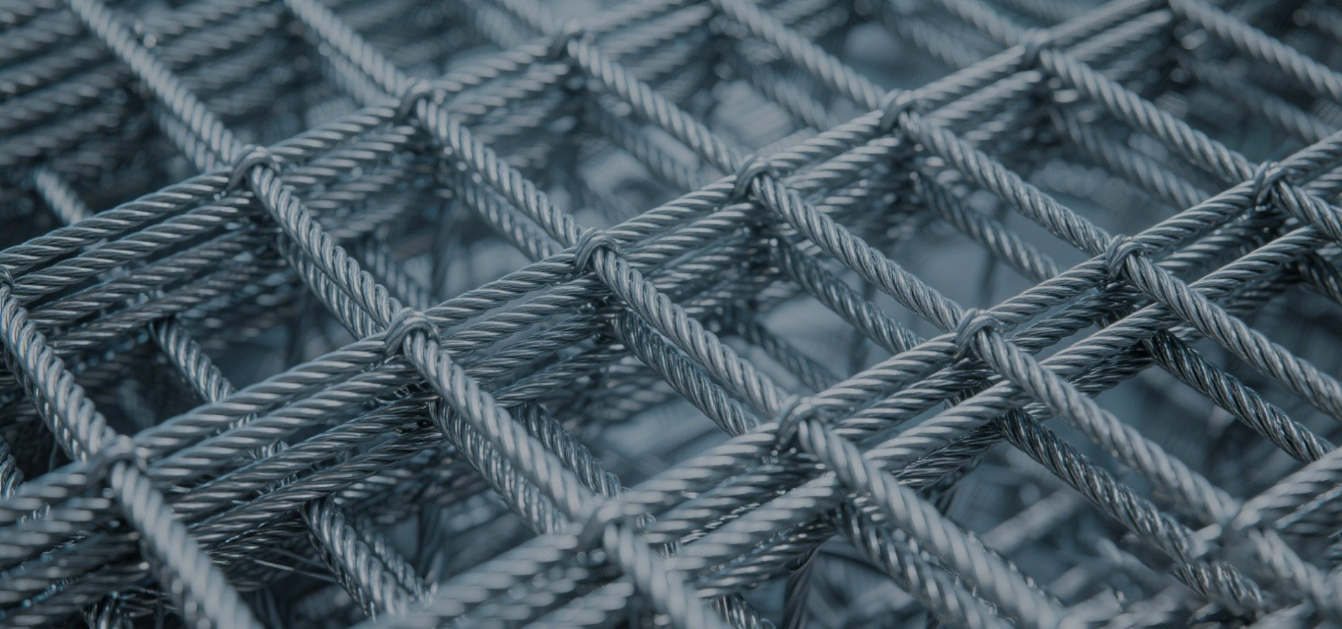 Anping Cangyi Wire Mesh Co., LTD